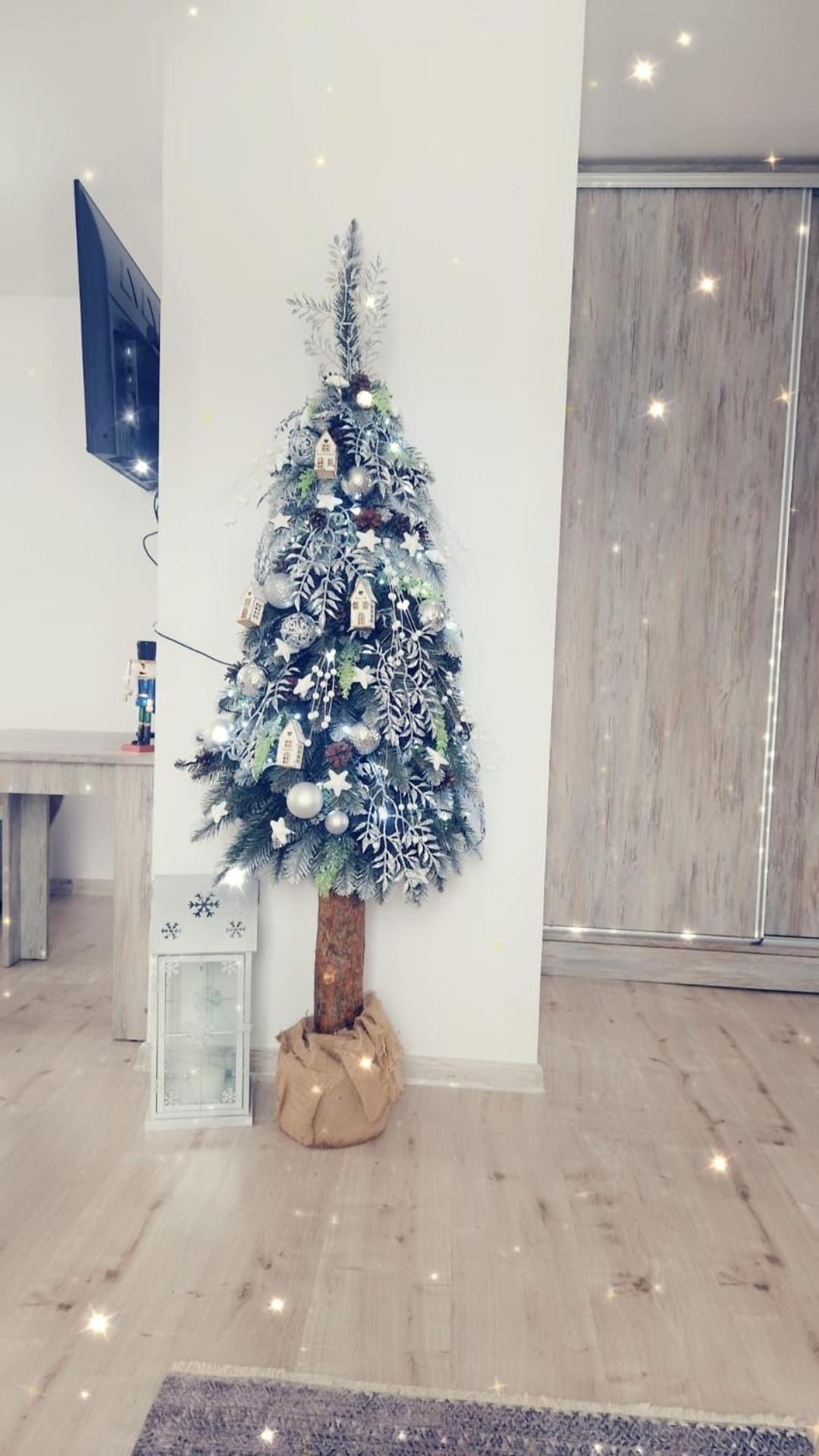 Apartamenty Z Widokiem Zakopane Exteriör bild